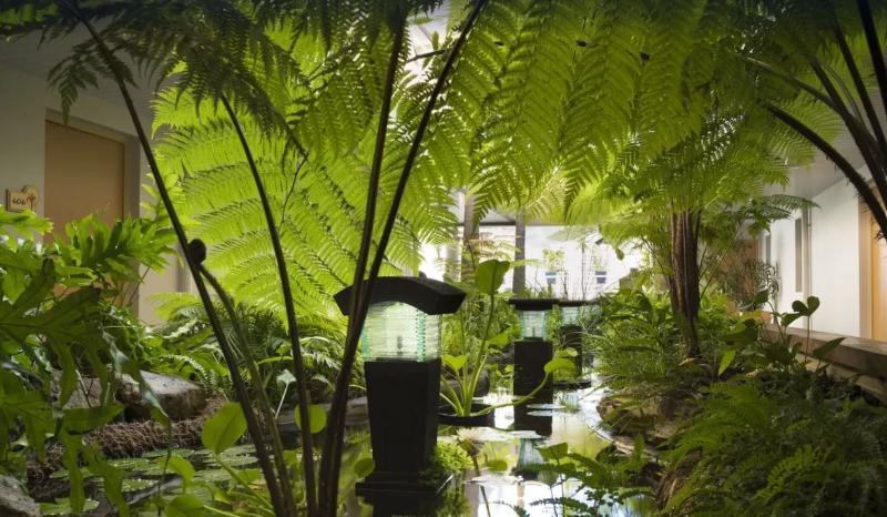 Hotel Le Lagon Numea Zewnętrze zdjęcie